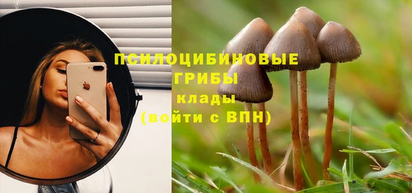 мет Абинск