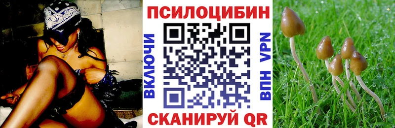 Галлюциногенные грибы Magic Shrooms  Красноармейск 